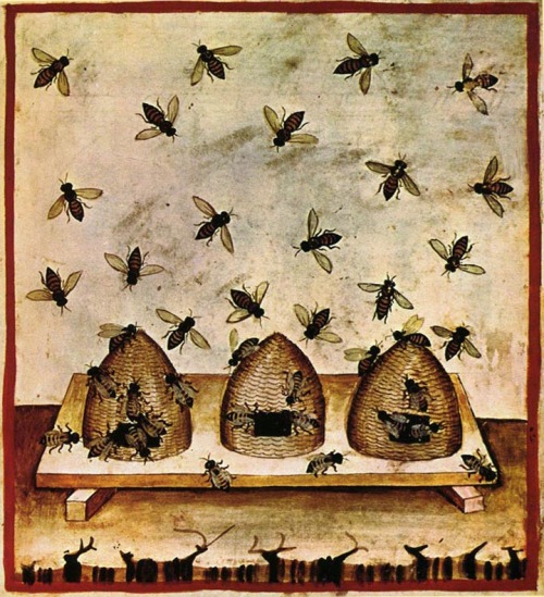 http://beekeepinghowtosecrets.com/tag/bee-hives/