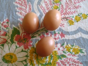 Redbud eggs